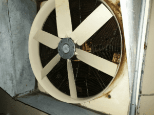 Fan Clean [after]