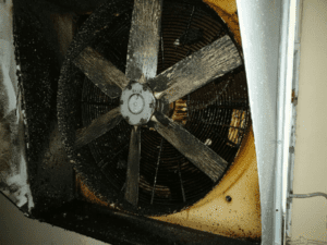 Fan Clean [before]