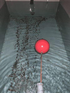 Crystal Clear: The Essential Guide to Cold Water Tank Cleaning and Maintenance