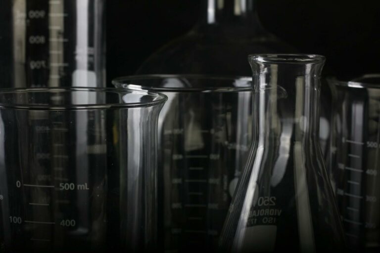 Photograph of multiple beakers